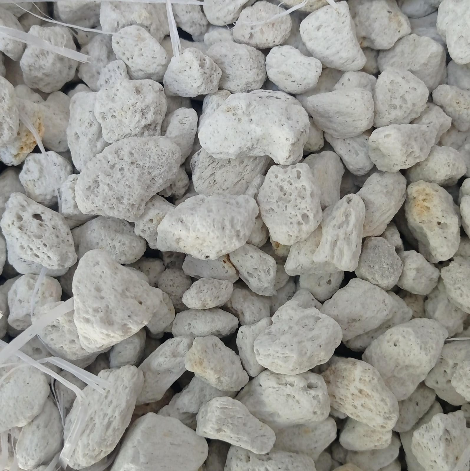 Pumice 12mm